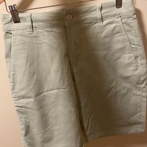 NEW (with tag) Hudson Los Angeles (Men’s shorts/Size 28/Light green)